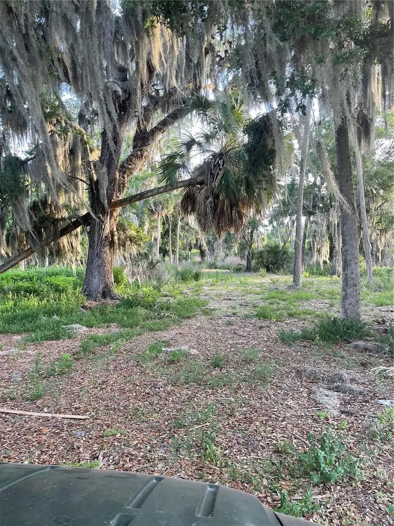Lake Marion Road W Haines City FL 33844