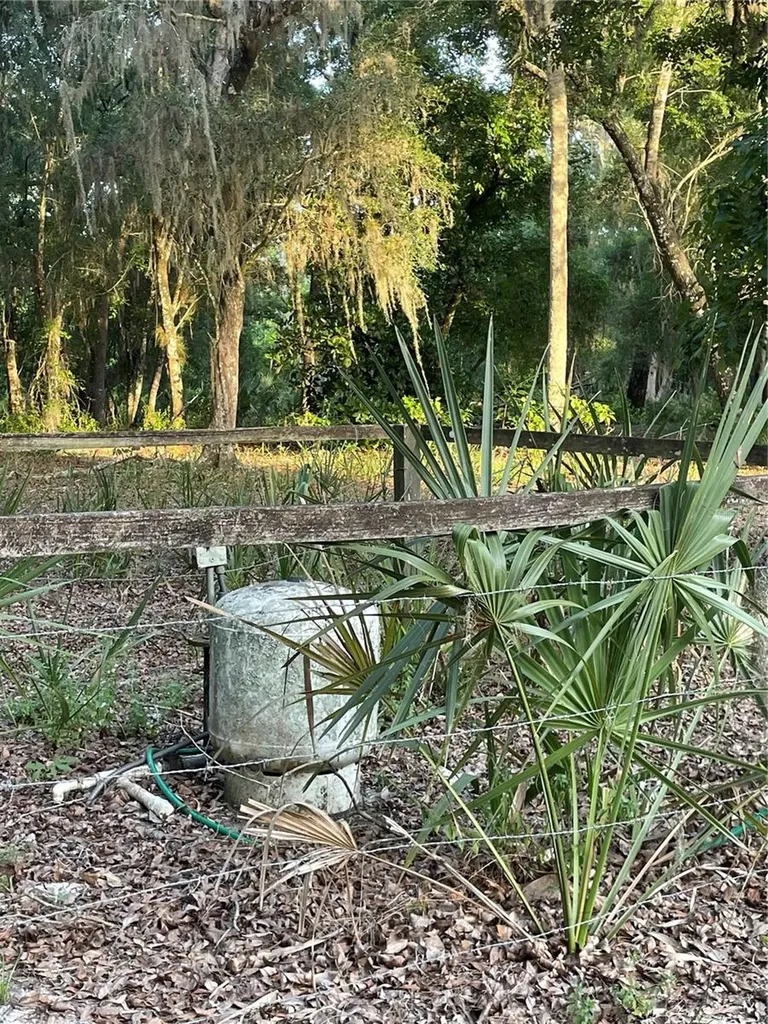 Lake Marion Road W Haines City FL 33844