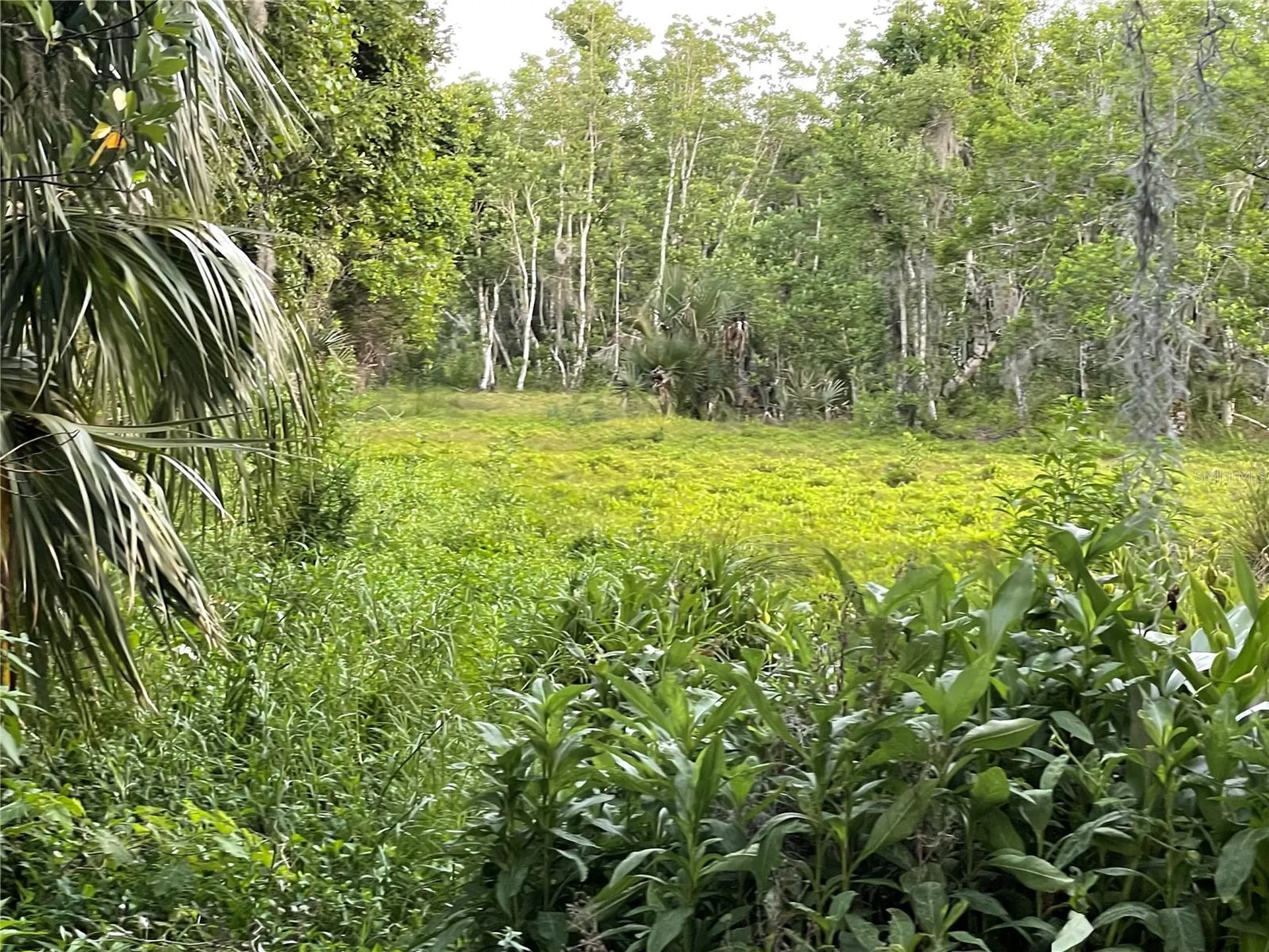 Lake Marion Road W Haines City FL 33844