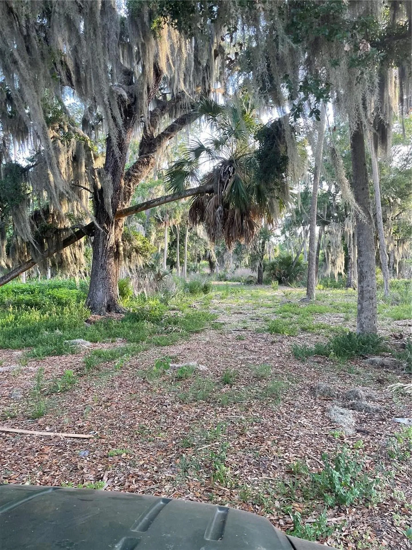 Lake Marion Road W Haines City FL 33844
