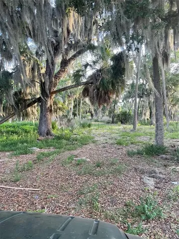 Lake Marion Road W Haines City FL 33844