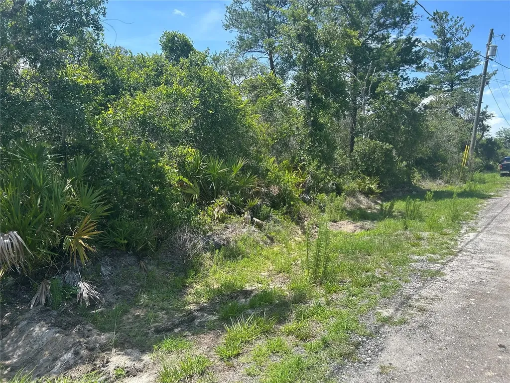 Waldor Avenue Orange City FL 32763