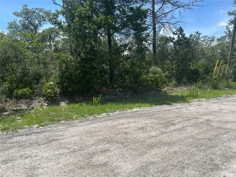 Waldor Avenue Orange City FL 32763