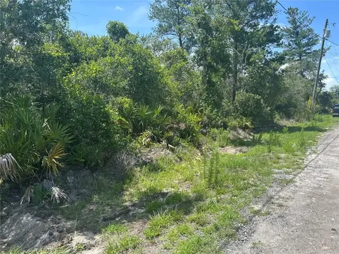 Waldor Avenue Orange City FL 32763