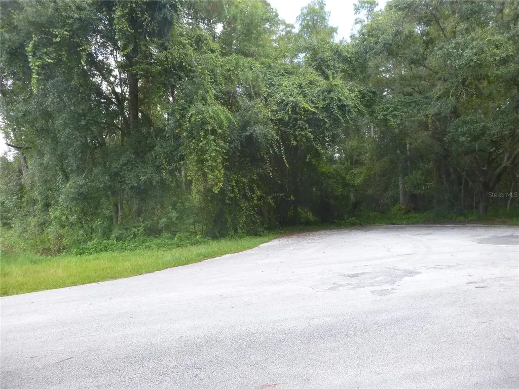 7709 Windward Way Odessa FL 33556