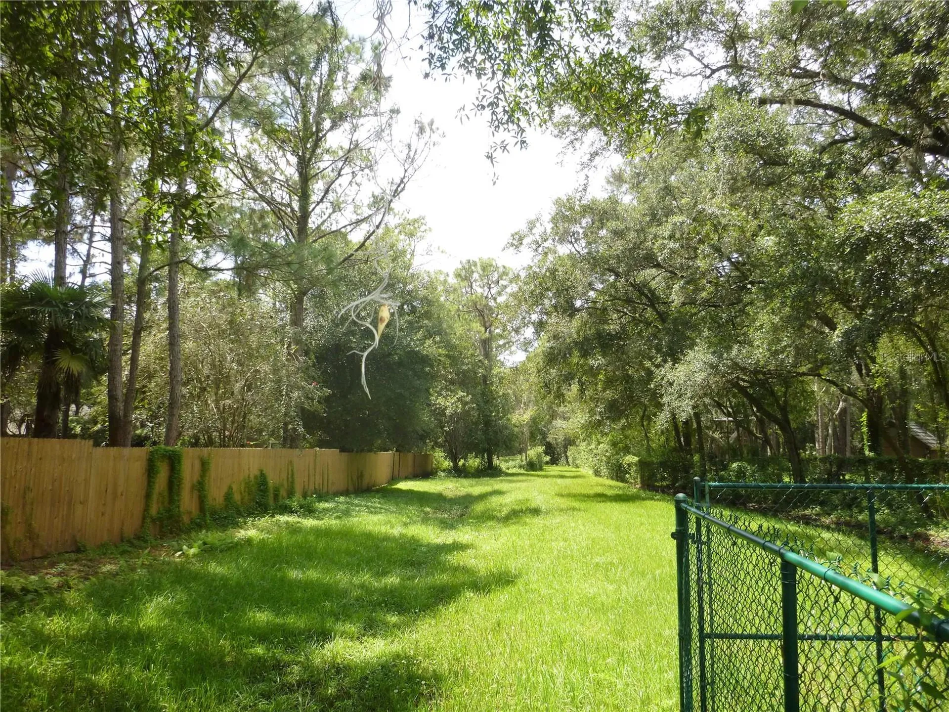 7709 Windward Way Odessa FL 33556
