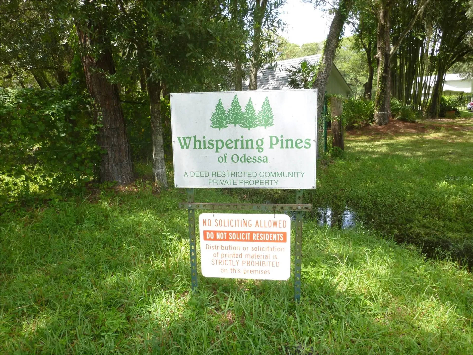 7709 Windward Way Odessa FL 33556