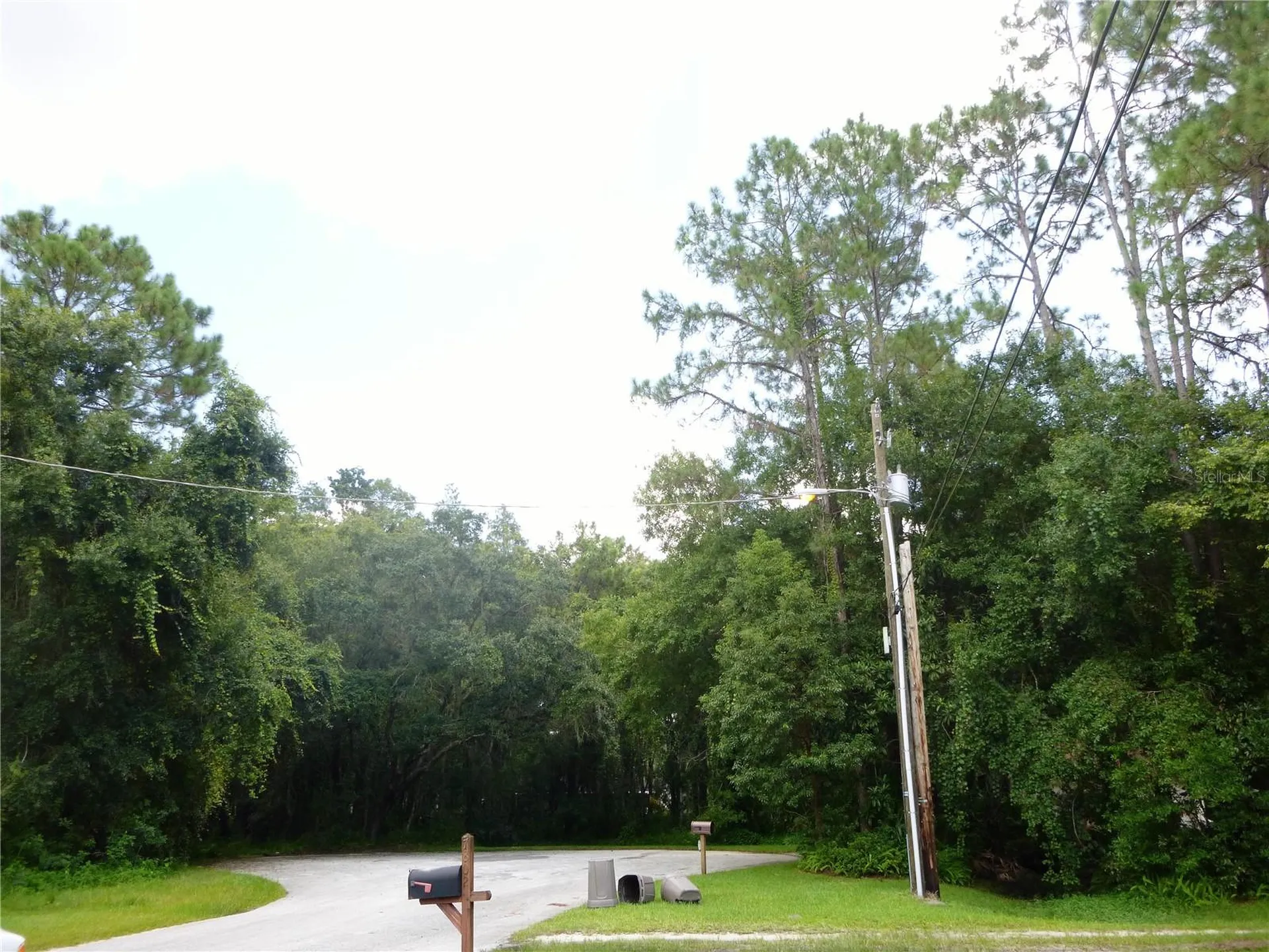 7709 Windward Way Odessa FL 33556