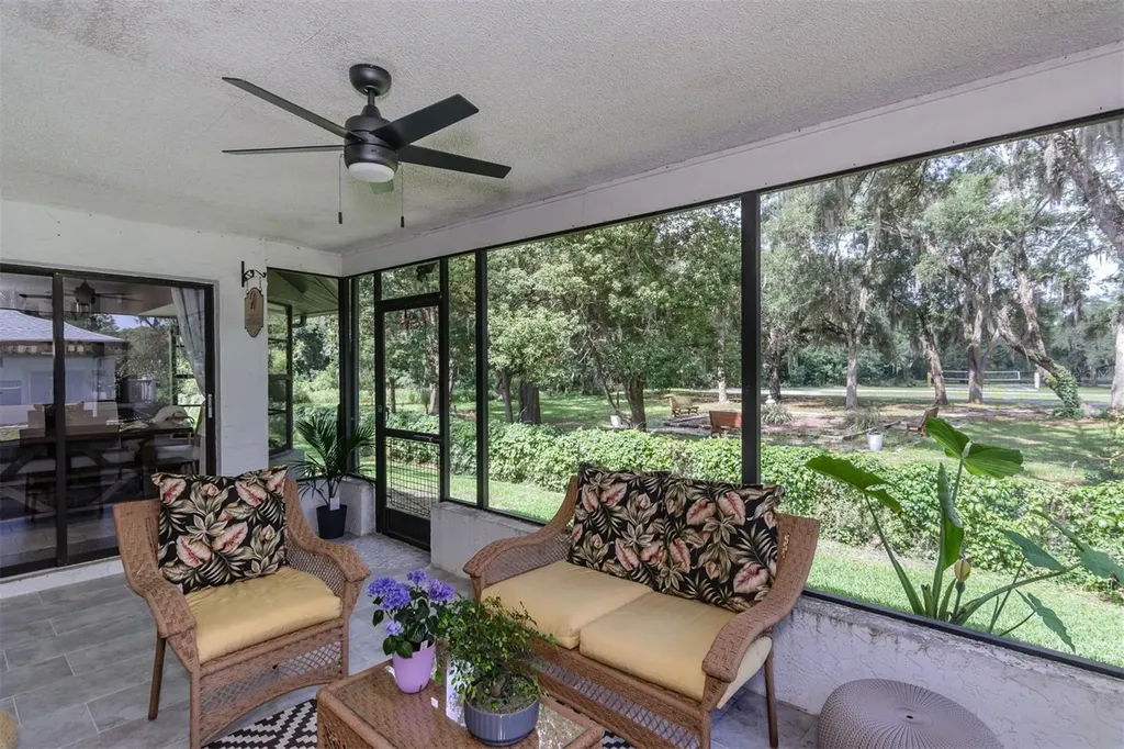 3745 Thornbush Lane New Port Richey FL 34655