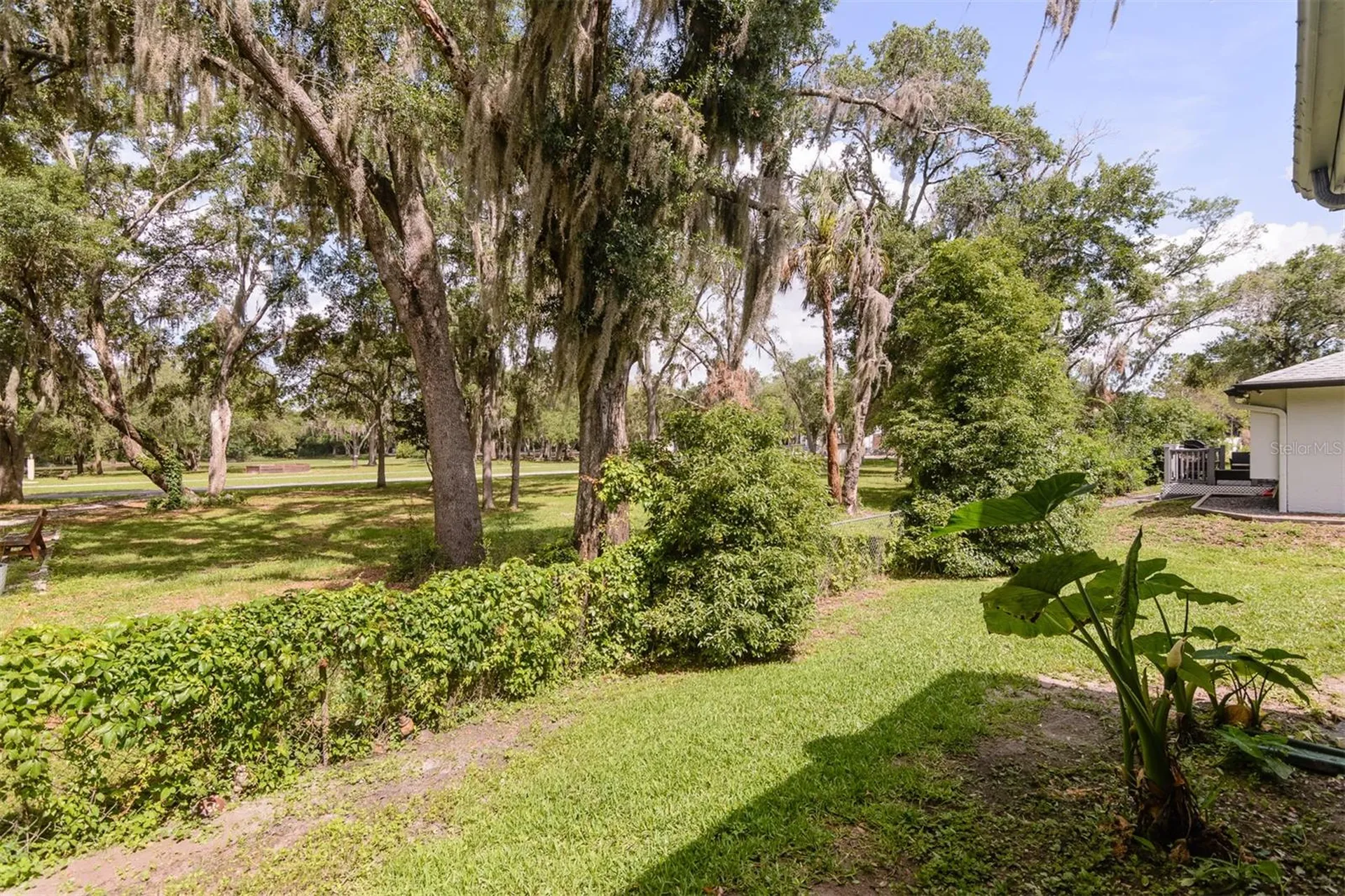 3745 Thornbush Lane New Port Richey FL 34655