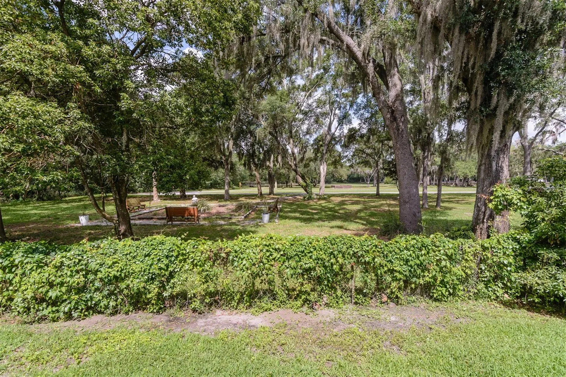 3745 Thornbush Lane New Port Richey FL 34655
