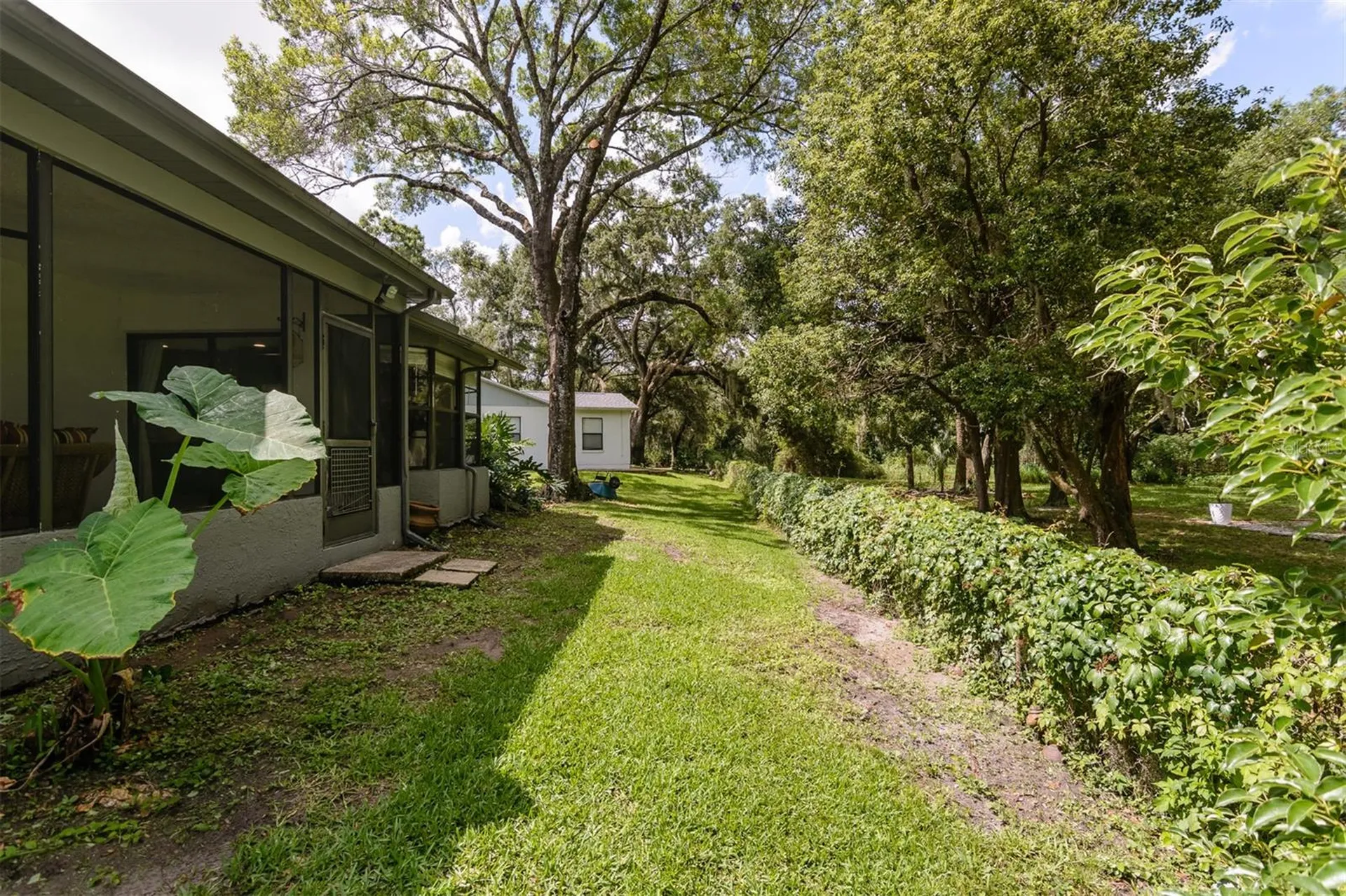 3745 Thornbush Lane New Port Richey FL 34655