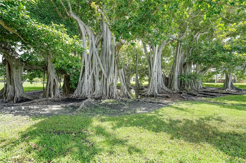 601 Shreve Street Punta Gorda FL 33950
