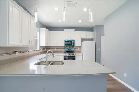 5341 Pepper Brush Cove Apopka FL 32703