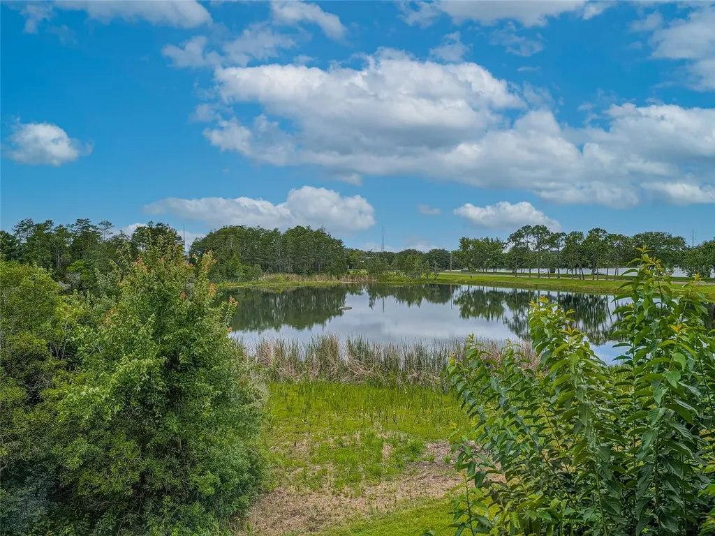 10409 Crimson Park Lane Tampa FL 33626