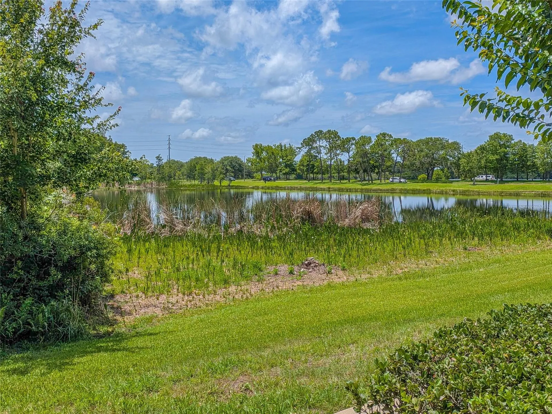 10409 Crimson Park Lane Tampa FL 33626