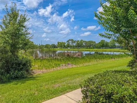 10409 Crimson Park Lane Tampa FL 33626
