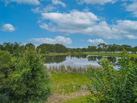 10409 Crimson Park Lane Tampa FL 33626