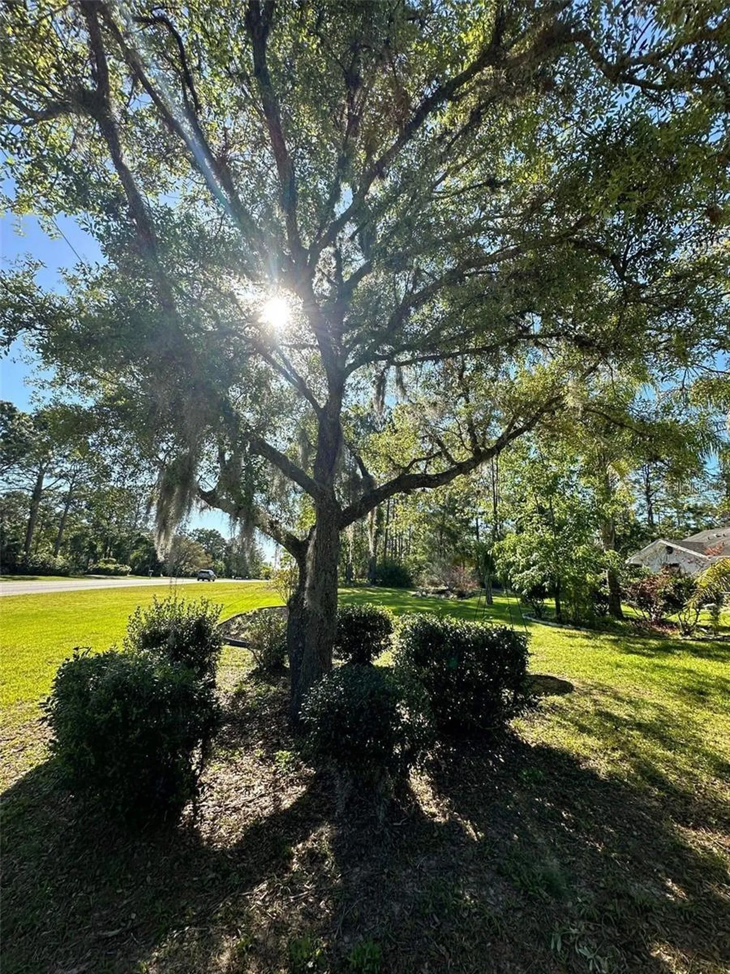 4353 W Pine Ridge Boulevard Beverly Hills FL 34465