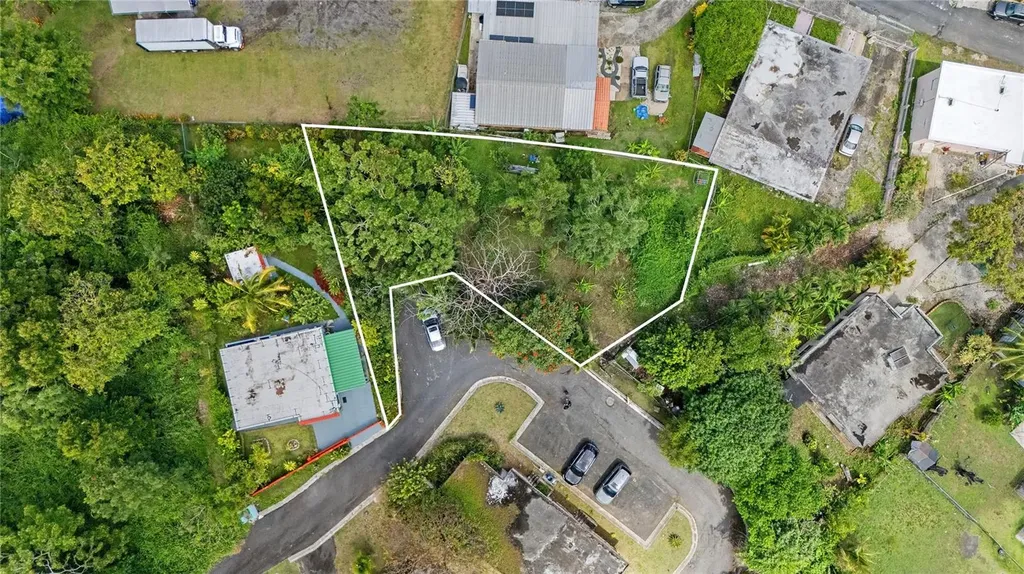7731 Barrio Rincon Cidra PR 00739