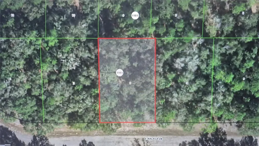 593 E Malaga Lane Dunnellon FL 34434