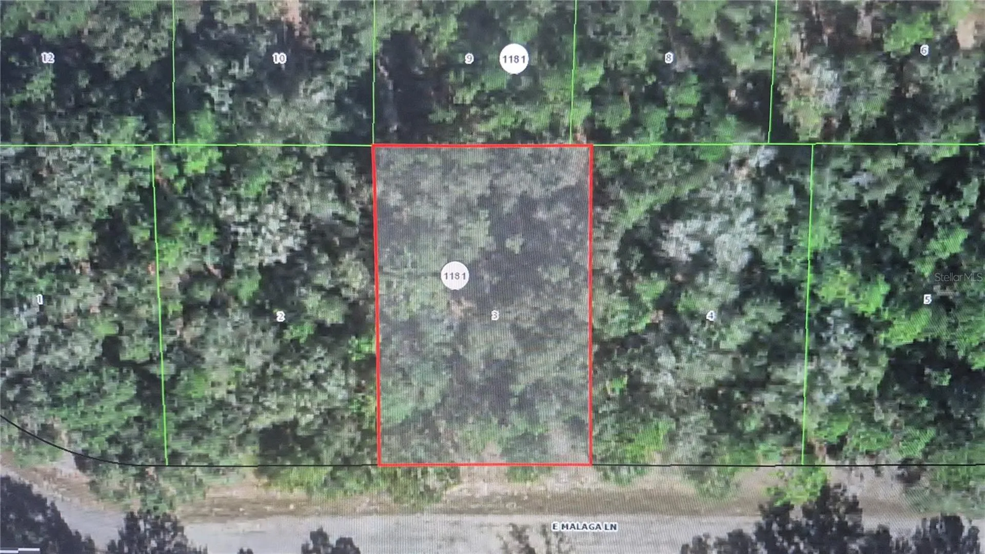 593 E Malaga Lane Dunnellon FL 34434