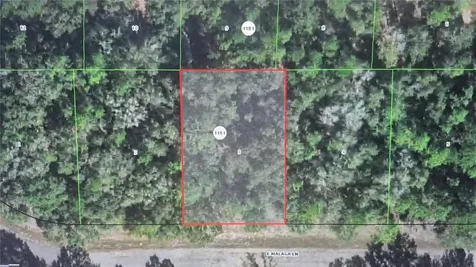 593 E Malaga Lane Dunnellon FL 34434