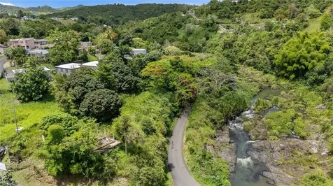7731 Barrio Rincon Cidra PR 00739