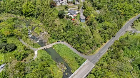 7731 Barrio Rincon Cidra PR 00739