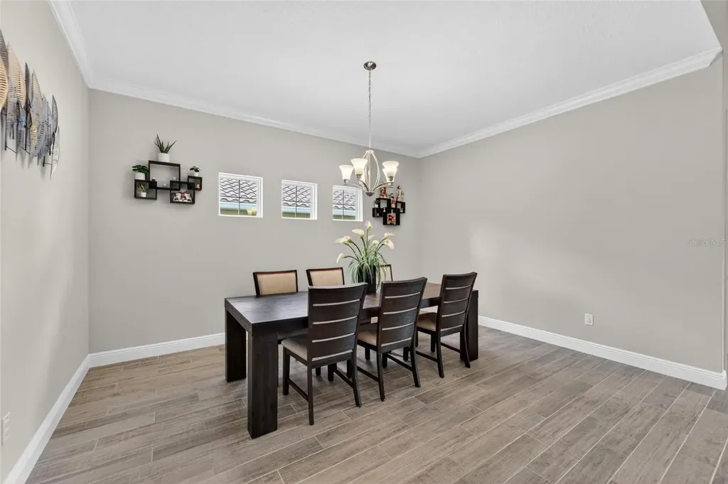 155 Sabal Breeze Court Brandon FL 33511