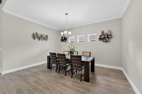 155 Sabal Breeze Court Brandon FL 33511
