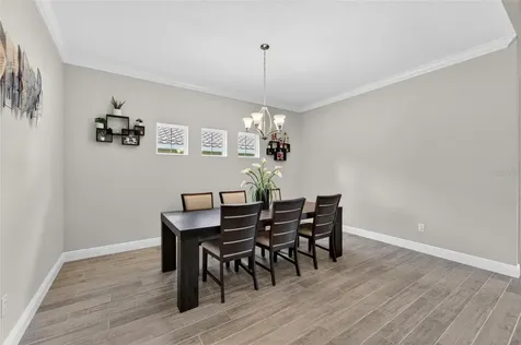 155 Sabal Breeze Court Brandon FL 33511