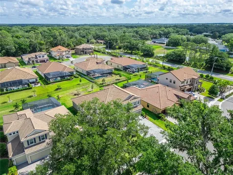 155 Sabal Breeze Court Brandon FL 33511