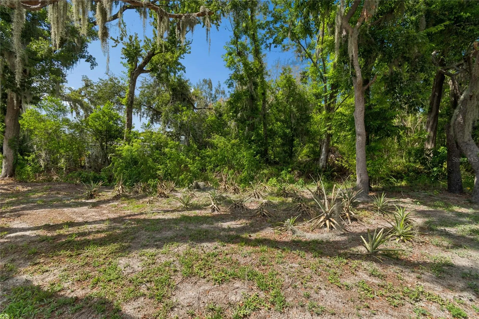 12512 Spottswood Drive Riverview FL 33579