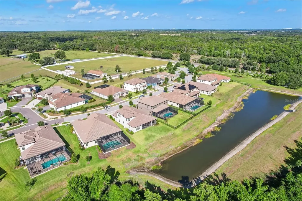 14142 Swiss Bridge Drive Riverview FL 33579