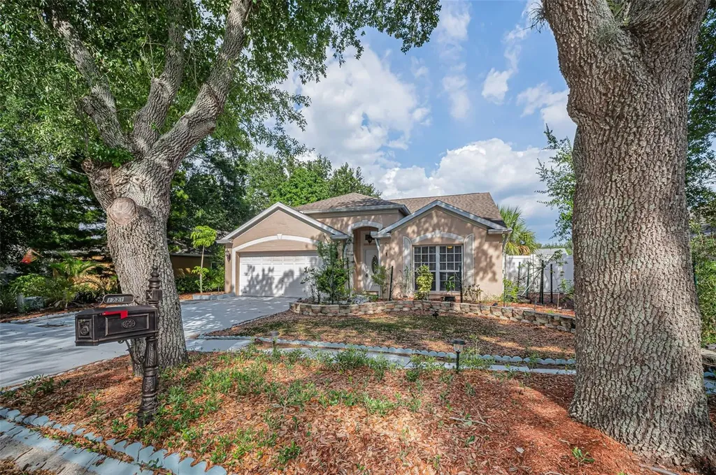 1721 Hunter Lane Tarpon Springs FL 34689
