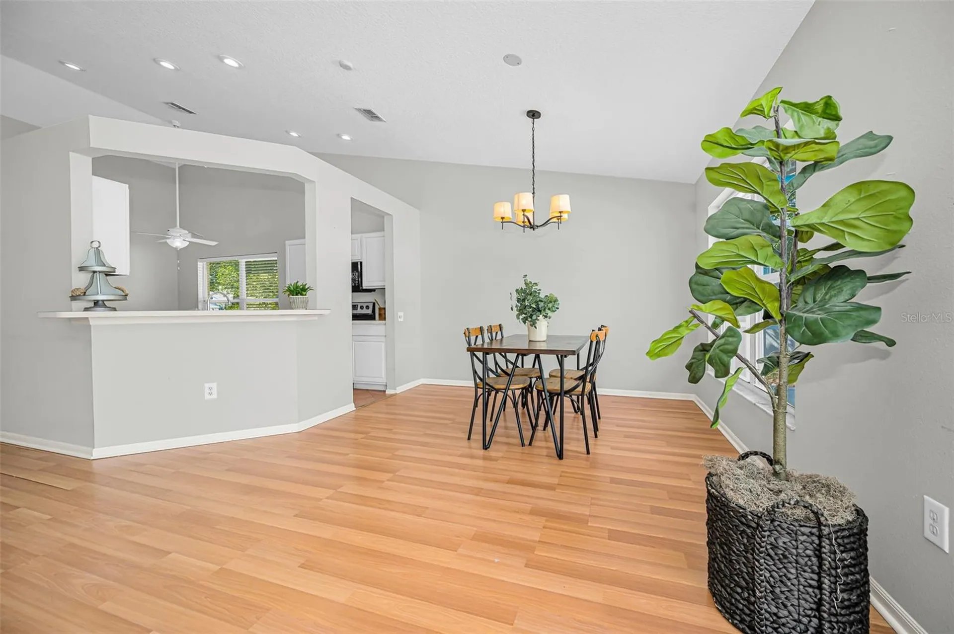 1721 Hunter Lane Tarpon Springs FL 34689