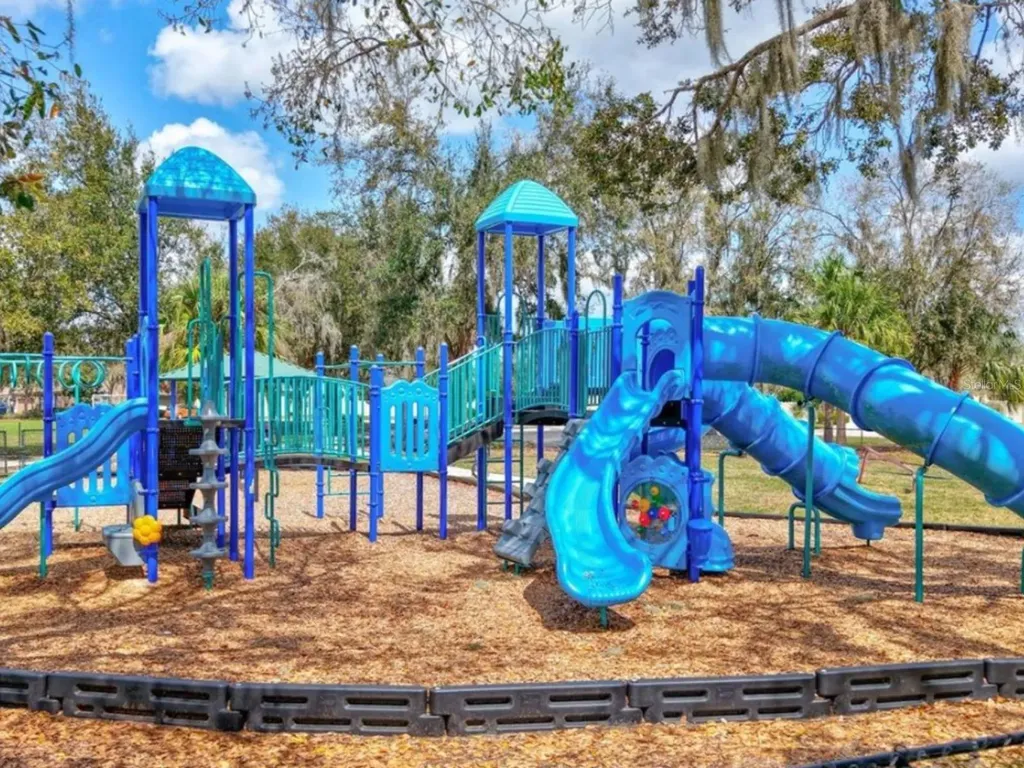 17433 New Cross Circle Lithia FL 33547