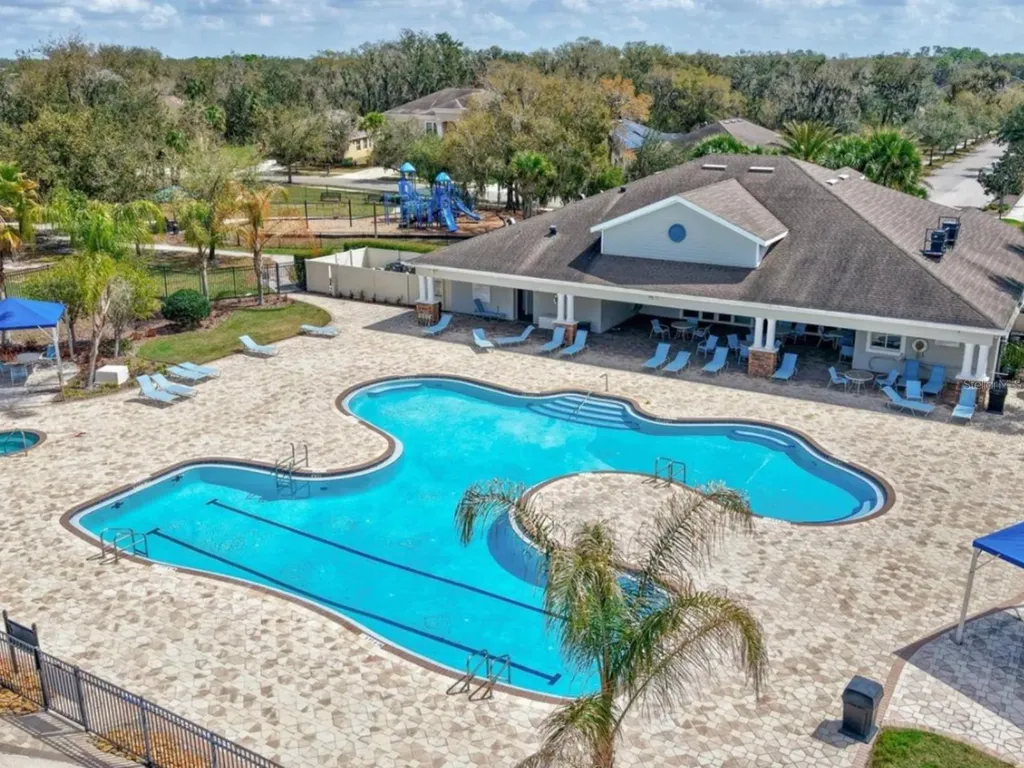 17433 New Cross Circle Lithia FL 33547
