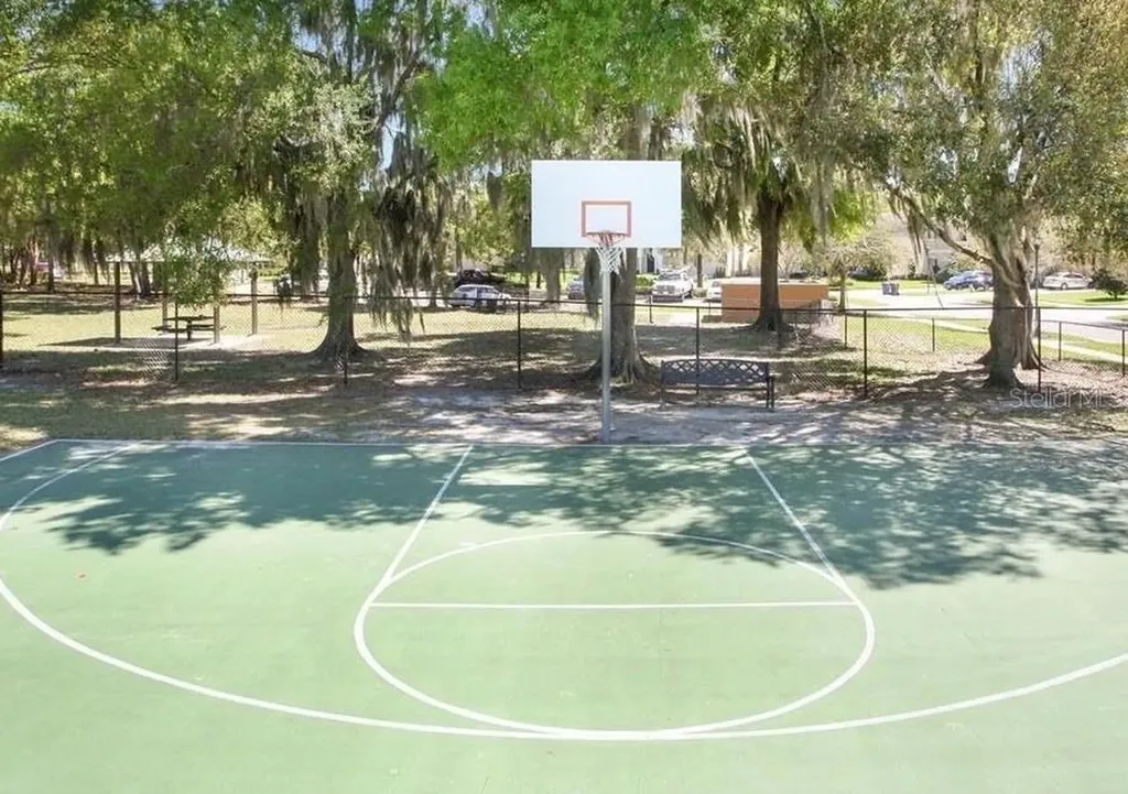 17433 New Cross Circle Lithia FL 33547
