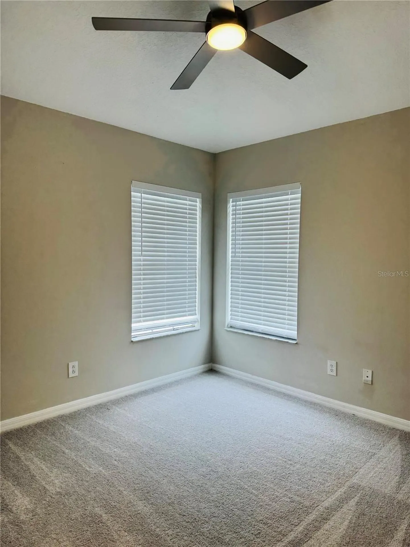 3517 Trapnell Ridge Drive Plant City FL 33567