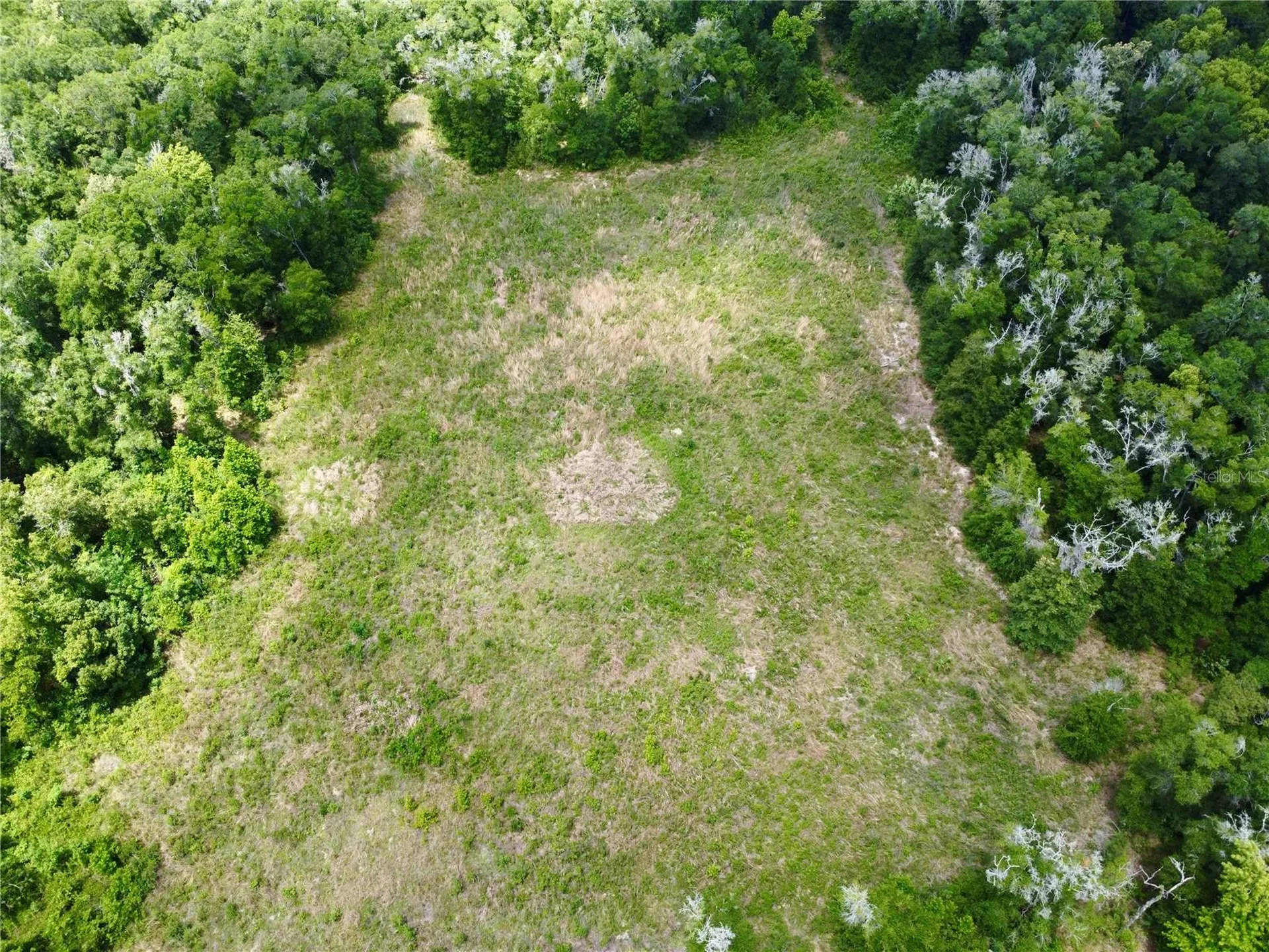 Tbd S Pine Avenue Ocala FL 34480