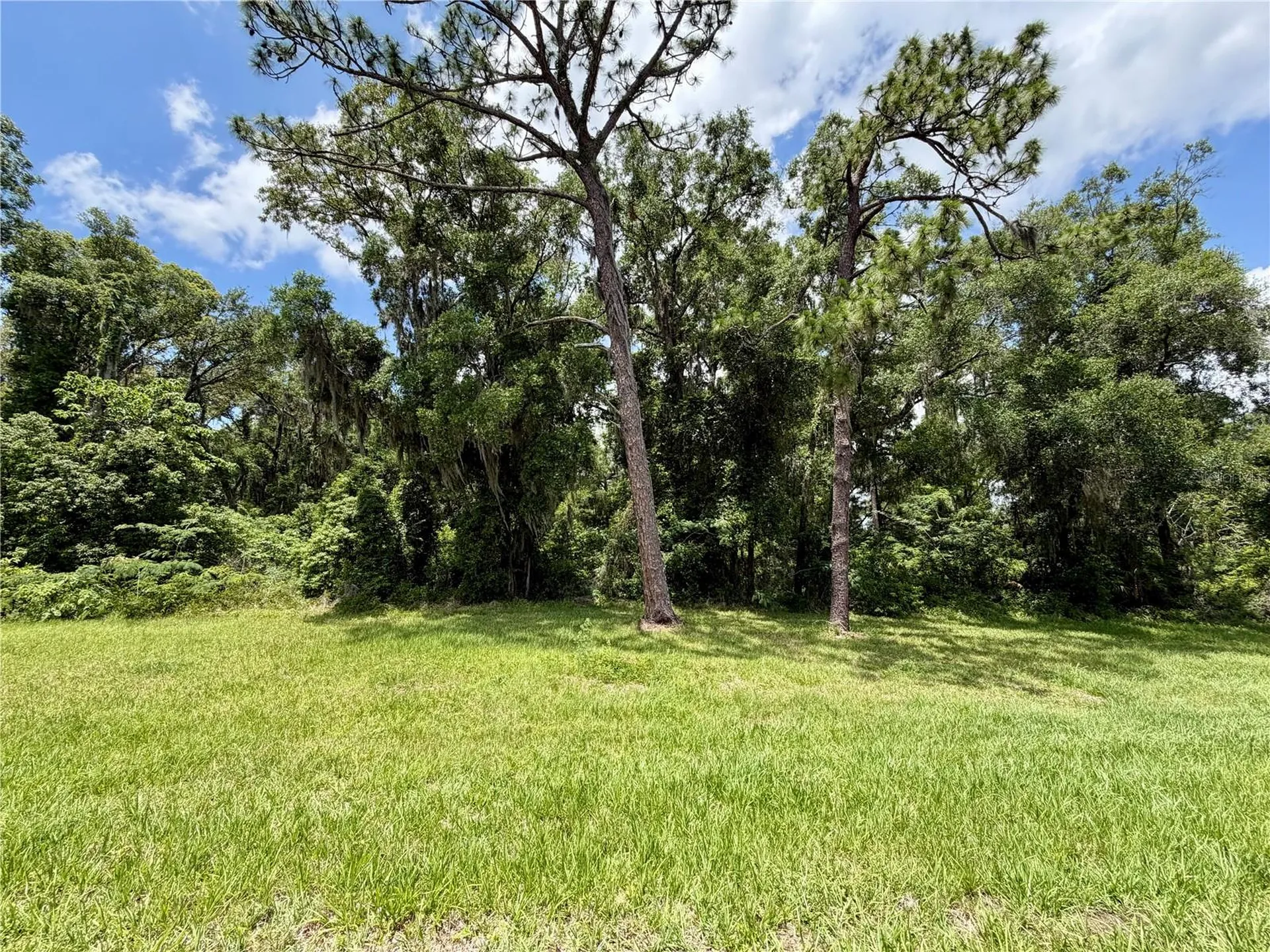 Tbd S Pine Avenue Ocala FL 34480