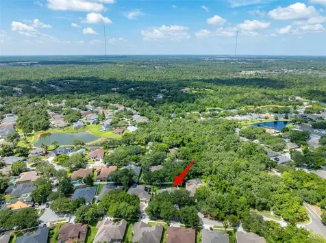 15211 Merlinglen Place Lithia FL 33547