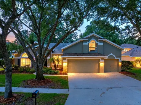 15211 Merlinglen Place Lithia FL 33547