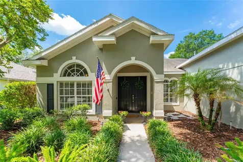 15211 Merlinglen Place Lithia FL 33547