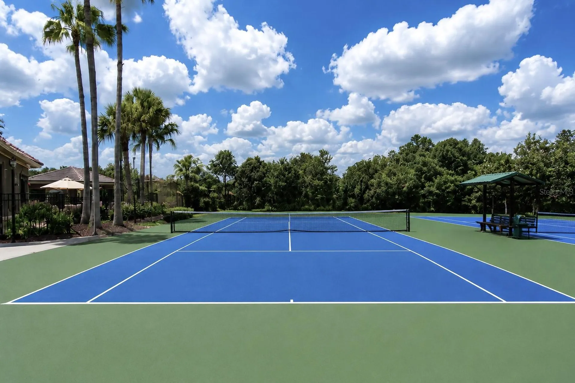 17446 Queensland Street Land O Lakes FL 34638