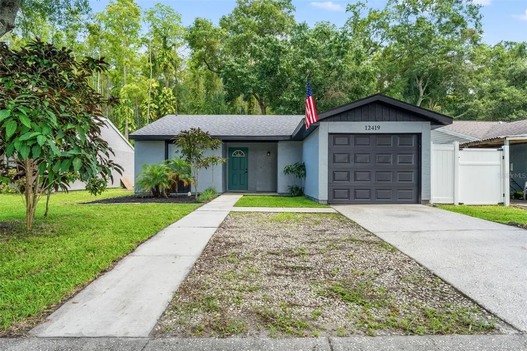 12419 Hidden Brook Drive Tampa FL 33624