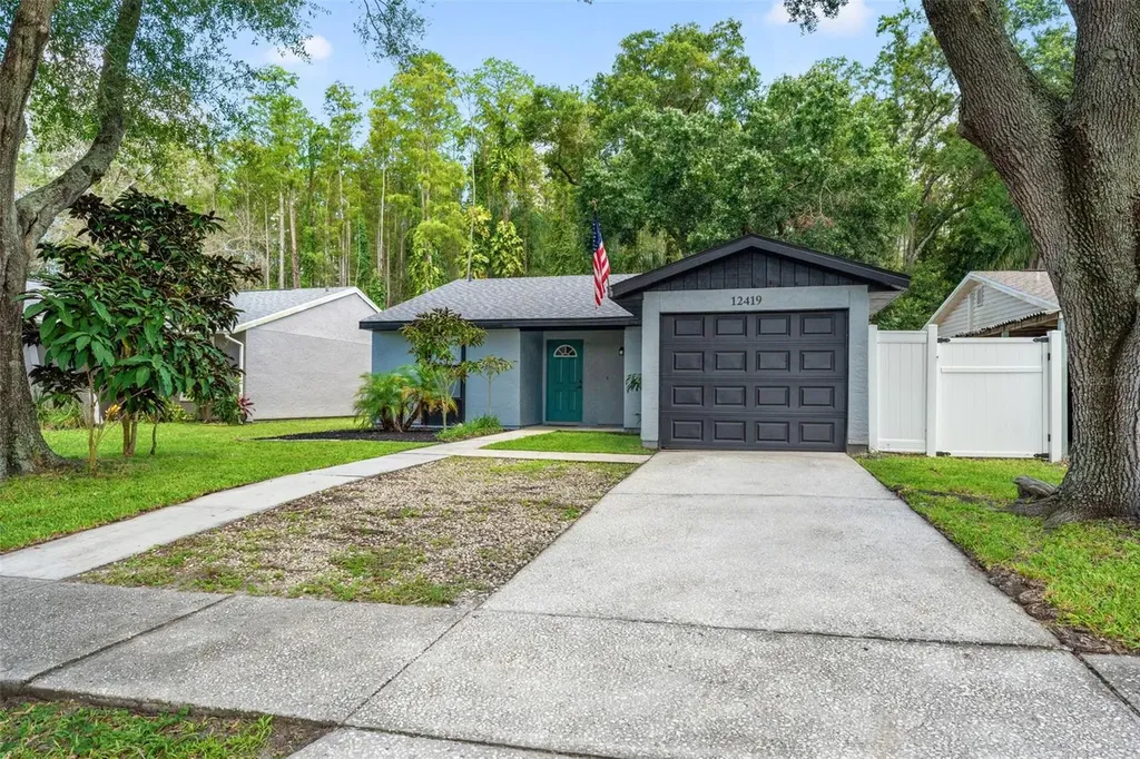 12419 Hidden Brook Drive Tampa FL 33624