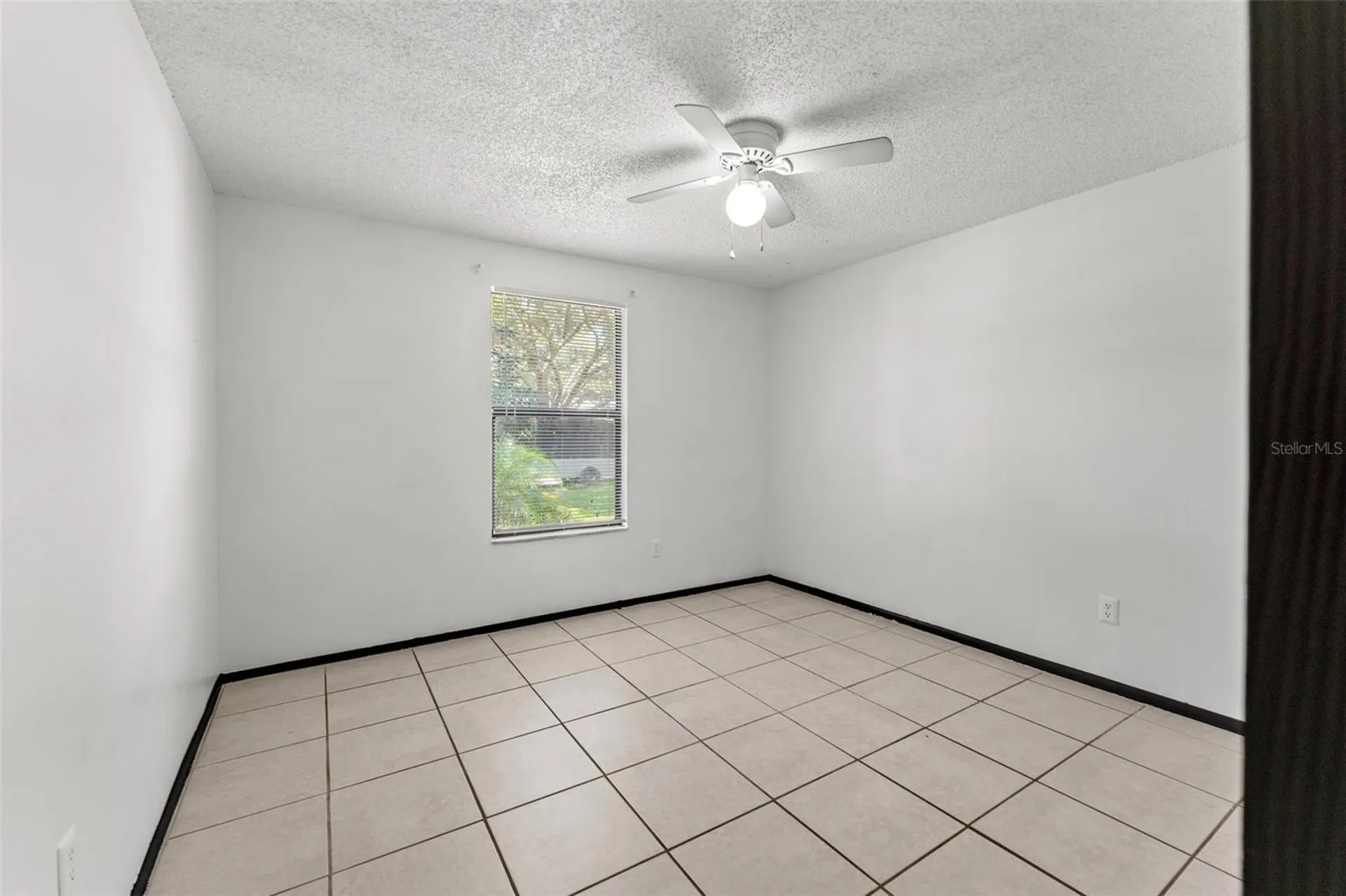 12419 Hidden Brook Drive Tampa FL 33624